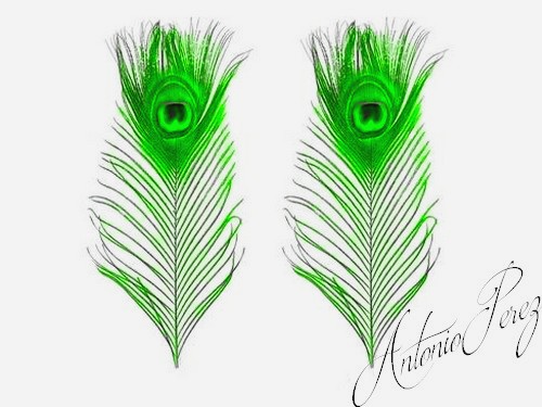 Oeil de Paon Vert