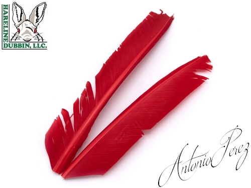 Quills de Dindes - Turkey Biot Quills HARELINE Rouge