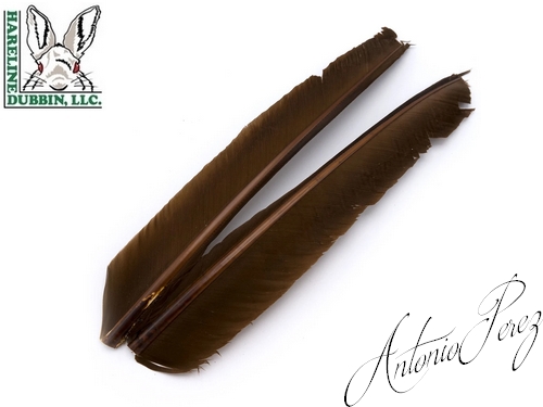 Quills de Dindes - Turkey Biot Quills HARELINE Marron