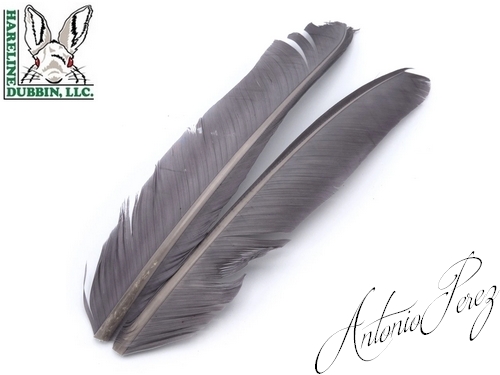 Quills de Dindes - Turkey Biot Quills HARELINE Gris