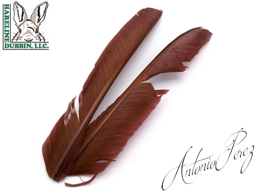 Quills de Dindes - Turkey Biot Quills HARELINE Mahogany