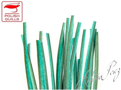 Quills de Paon Turquoise