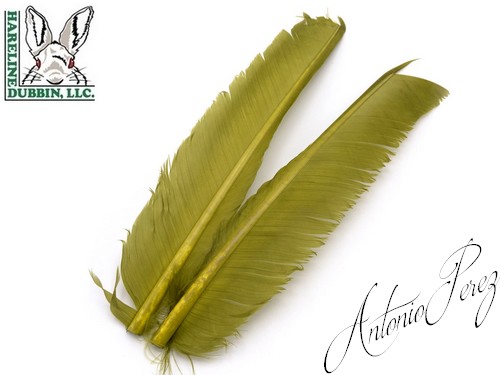 Quills de Dindes - Turkey Biot Quills HARELINE  Olive Clair