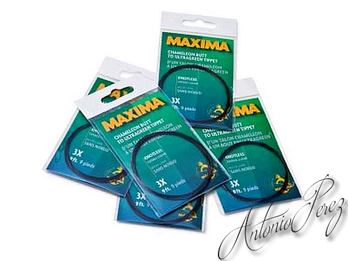 Bas de ligne Maxima sans noeud 6X 9 pieds 0.44>0.125