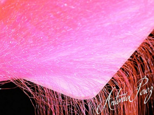 Fine Hair Rose Fluo