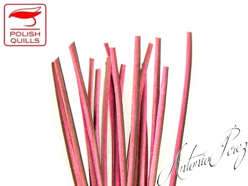 Quills de Paon Rose