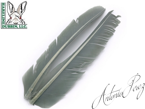 Quills de Dindes - Turkey Biot Quills HARELINE Gris Olive  