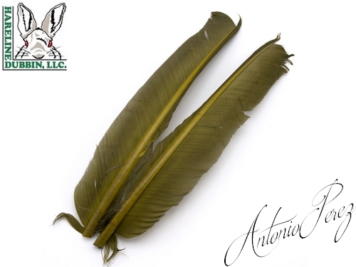 Quills de Dindes - Turkey Biot Quills HARELINE Olive
